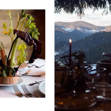 Хотел Гела Гела