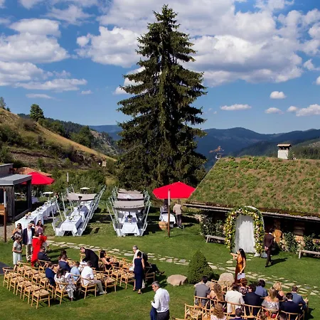 Хотел Хотел Гела 3*