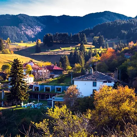 Хотел Гела Хотел Гела