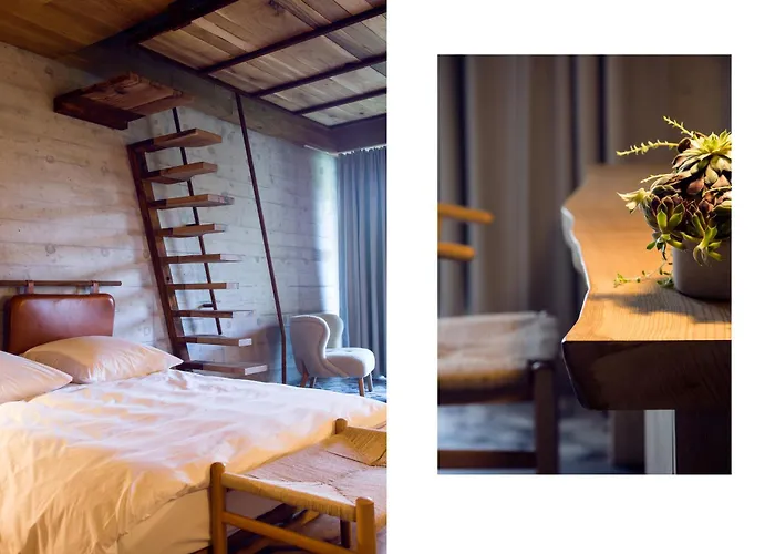 Хотел Гела Хотел