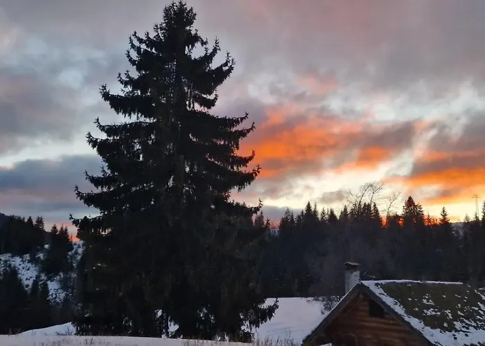 Хотел Хотел Гела 3*